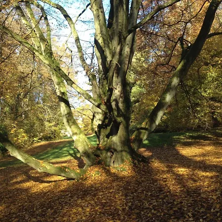 Schloss Langenzell, Fuerstensuite Apartament