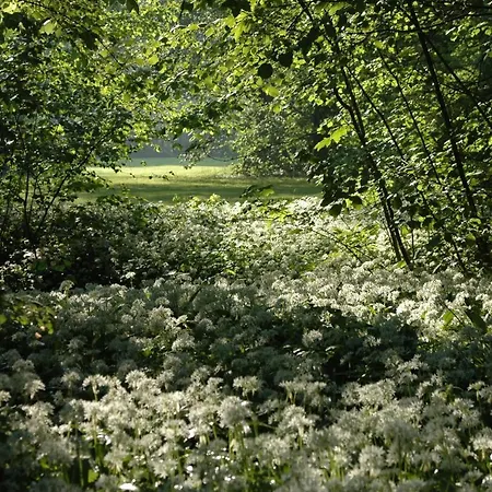Schloss Langenzell, Fuerstensuite Wiesenbach